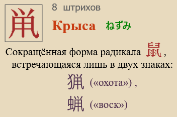 Крыса